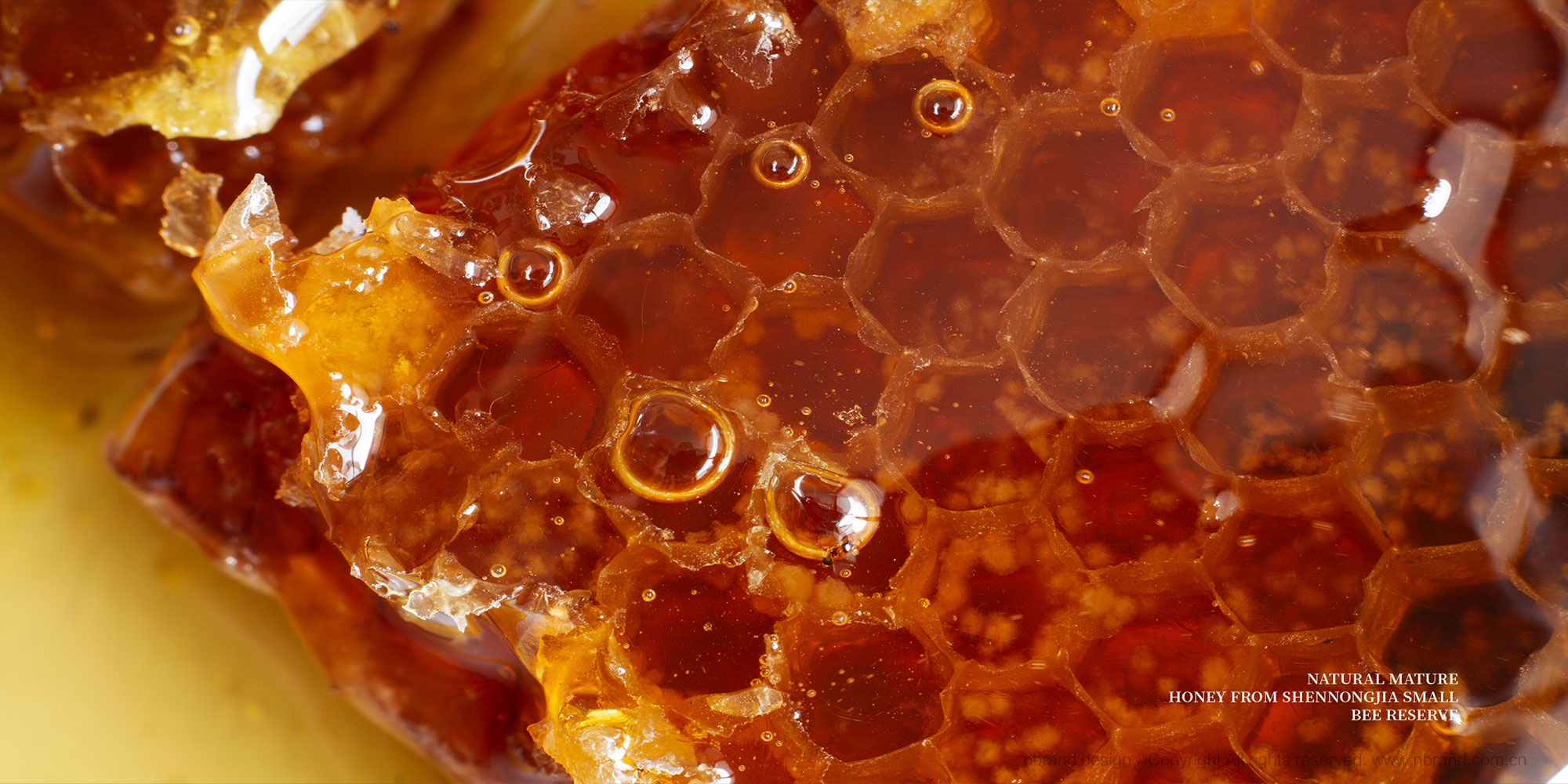 샞ʳƷbOӋ,YOӋ,߶ƷOӋ